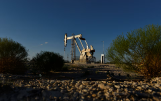 wp header logo17763048071261424502