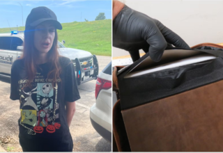 wp header logo1776355234200461201