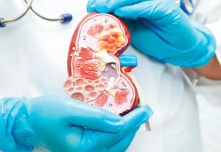 wp header logo17763876251759853726