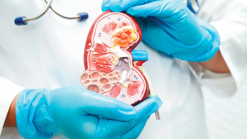 wp header logo17763876251759853726