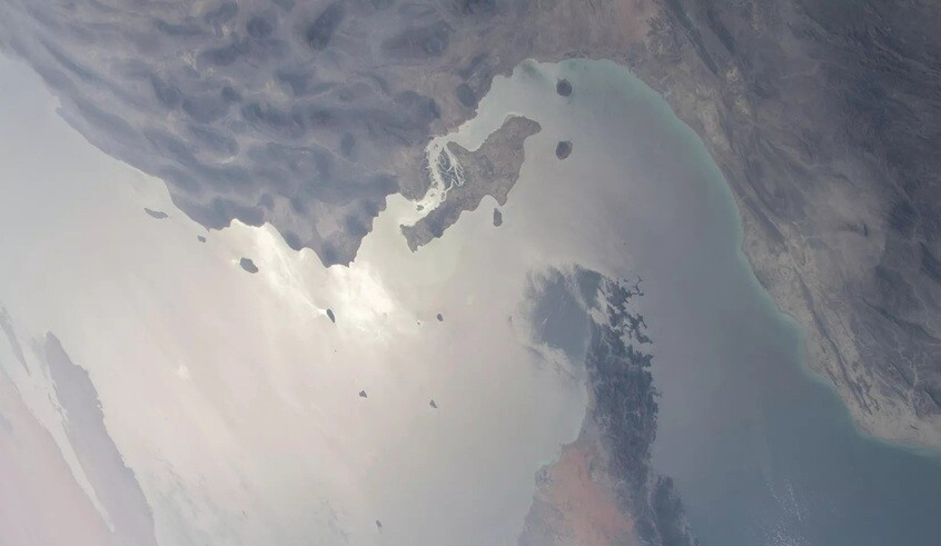 wp header logo17765352371649129681