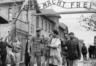 wp header logo1776556834729962427