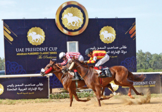 wp header logo17765604071541404385