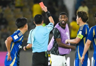 wp header logo17766180381217822959