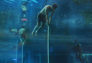 wp header logo17766468172086219352