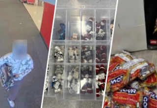 wp header logo17766684211916838812