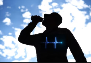 wp header logo1776700839453635383