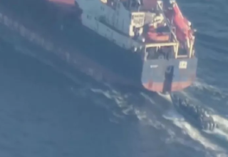 wp header logo17768772751648280177