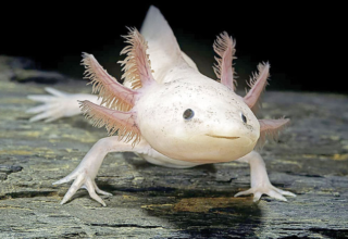 wp header logo17769060501432641595