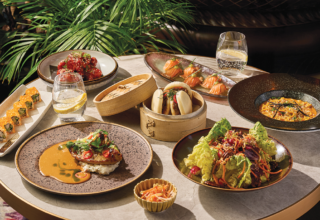 wp header logo17769816081093645142