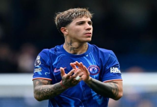 wp header logo177698521174161497