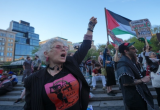 wp header logo17770536101885447710