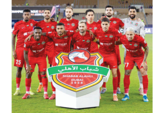 wp header logo1777078831323356817