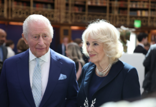 wp header logo177720846783394966