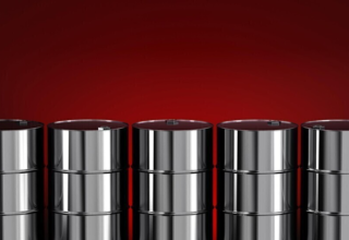 wp header logo17772840131510046702