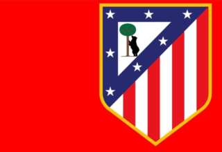 wp header logo17772913471255097760