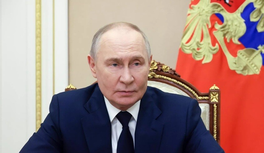 wp header logo177740642156865081