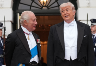 wp header logo17774280131179149177