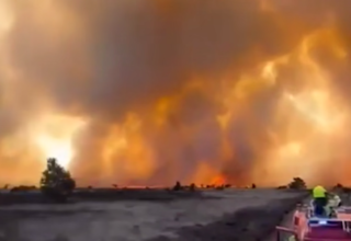 wp header logo1777561269249470455