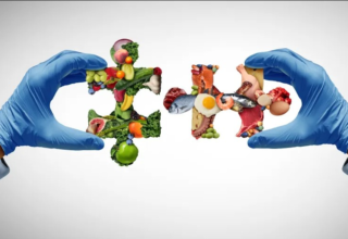 wp header logo17779896271873269417