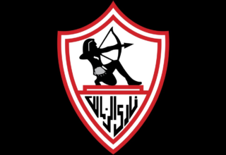 wp header logo1778076008549286372