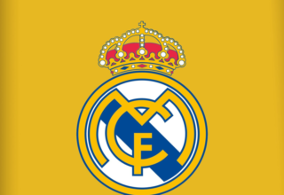 wp header logo1778929223793647529