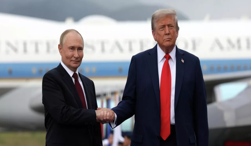 wp header logo177919201758618519