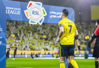 wp header logo177927480949242527