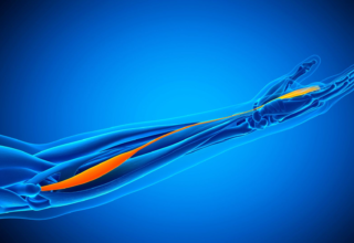 wp header logo1779534011389581283