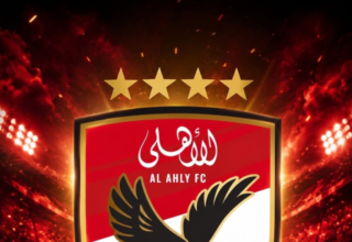 wp header logo17795520251085228984