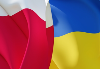 wp header logo17803116162107743717