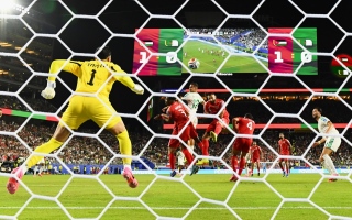 wp header logo1782230425781541533