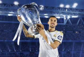 wp header logo17825076101795975709