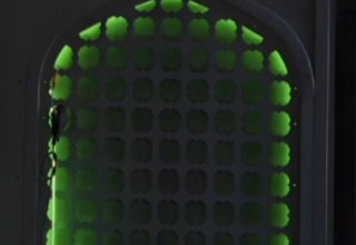 wp header logo17829792211289014867