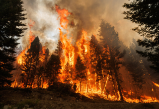 wp header logo1783699211589508734