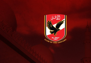 wp header logo1784052024844938582