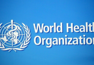 wp header logo178413121026371043