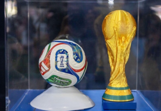 wp header logo1784224811511551566