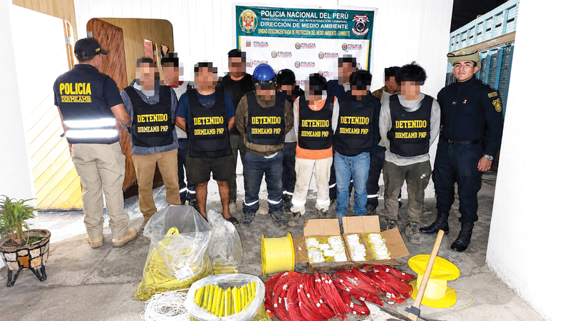 wp header logo17858772071162232465