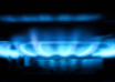 wp header logo17868204431961292558