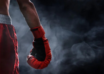 wp header logo1788354014917771658