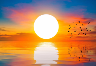 wp header logo17884044331164167617