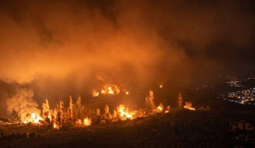 wp header logo1789740036416390234