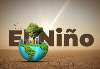 wp header logo17902440132009013933