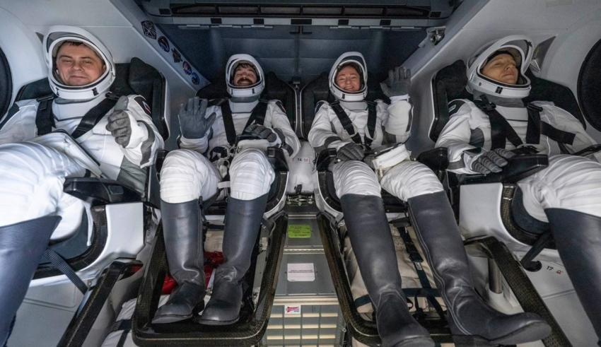 wp header logo1791493207871111474