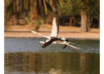 wp header logo17916804371716054085